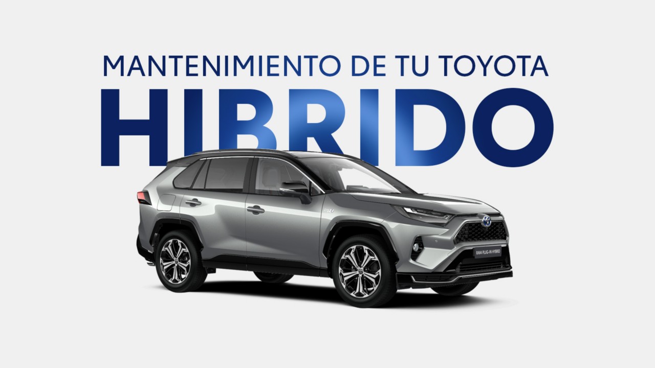 Mantenimiento híbridos