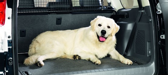 Cambio de vida, ¿cambio de coche?