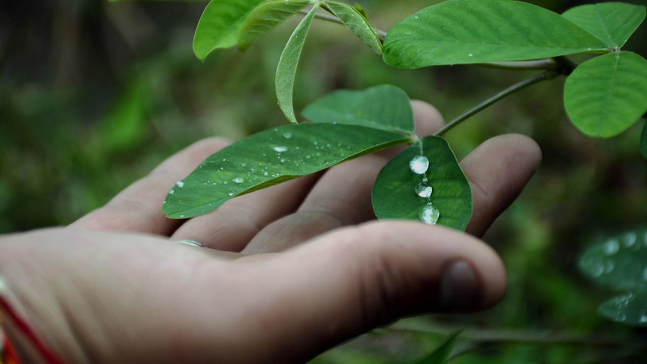 Toyota reduce el consumo de agua