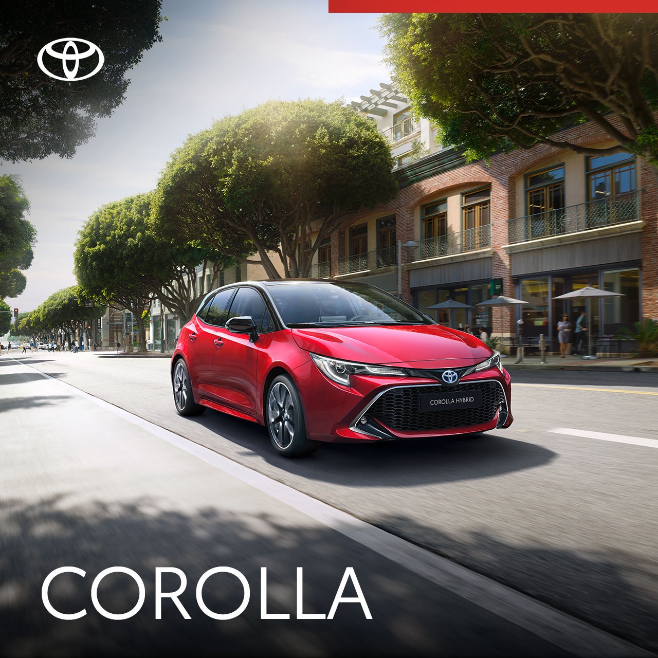 Catálogo oficial del Toyota Corolla, conócelo a fondo