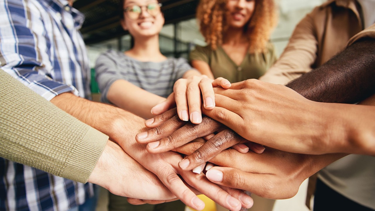 Equipo de diversidad