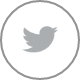 Icnono de Twitter